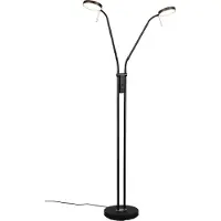 TRIO Monza LED lattiavalaisin 2-os mattamusta