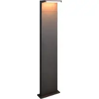 TRIO Ravi LED pylväsvalaisin 100 cm antrasiitti
