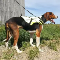 Kardog Koiran metsästysliivi Rymy,