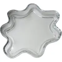DBKD Filter Lautanen 22 Cm - Koristelutarvikkeet Lasi Kirkas - 20231505cl