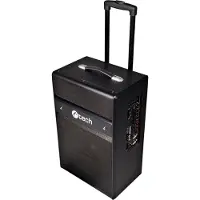 C-TECH Impressio Cappella 100 W column.
