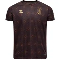 Hummel Bif 25/26 Third Jersey S/S Kids - Brown - 128
