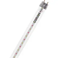 Ledvance LEDLoisteputki T8 EM FLUORA 58 18,3W