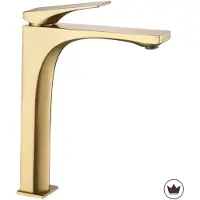 REA Joe Brush Gold Pesuallashana Harjattu High