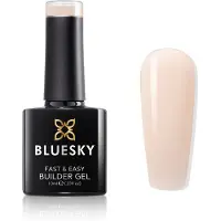 Bluesky Fast & Easy Builder geelilakka