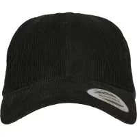 Flexfit Low Profile Corduroy Dad Lippis