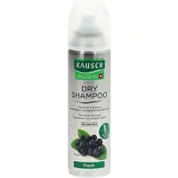 RAUSCH Dry Shampoo Fresh kuivashampoo 150 ml