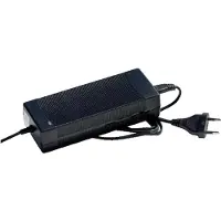 Temo 450 Laturi 220v