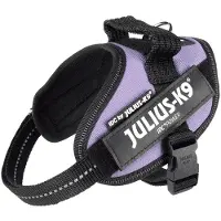 JULIUS K-9 Idc Power Mini Koiran Valjaat