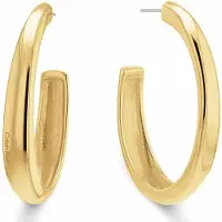 Calvin Klein 35000836 Korvakorut