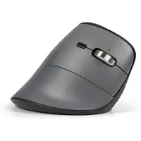 BakkerElkhuizen – BakkerElkhuizen FastForward Pro mouse, Oikeakätinen, Vaakasuuntainen muotoilu, Optinen, RF Wireless + Bluetooth + USB Type-C, 5000 DPI, Musta, Harmaa (BNEFFP3MVM)