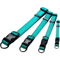 Dogman Nylon Koiran Kaulapanta Iris Turkoosi Iso 20mmx35-60cm