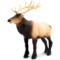Safari Ltd Moose Kuvio