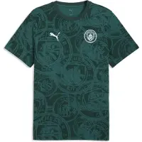 Puma Manchester City Fc Ftblculture Lyhythihainen T-paita