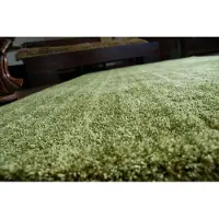 Rugsx Matto SHAGGY NONA vehreys, 80x150