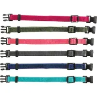Trixie M-L 6 kpl neon pentuepannat