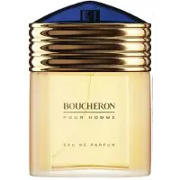 Boucheron Homme Eau de Parfum 100 ml