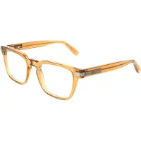 Ferragamo Näkölasit - - SF3044 - Läpinäkyvä karamelli - Akryyli - 53/23/150