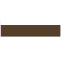 Daler Rowney Graduate Acrylic 120 ml Raw Umber