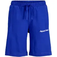 Jack & jones Junior Housut 'JPSTKARL NORREBRO' sininen / valkoinen