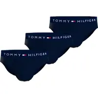 Tommy Hilfiger Um0um03905 Brief Boxerit 3 Yksiköt