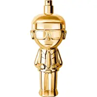 Karl Lagerfeld Ikonik Pour Femme Absolu, Parfum 100ml