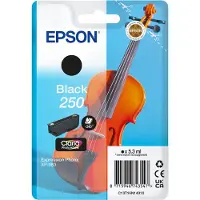 Epson Singlepack Black 250 ink (C13T16N14020)