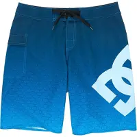 Dc-shoes Lanai 21 Uimashortsit