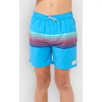 Rip Curl Surf Revival Volley Uimashortsit