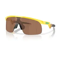 Oakley Resistor Aurinkolasit