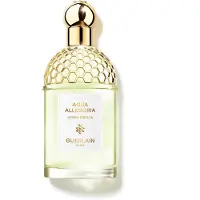 Guerlain Aqua Allegoria Herba Fresca Eau de Toilette 125 ml