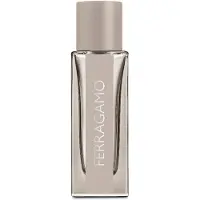 Salvatore Ferragamo Bright Leather Men, EdT 30ml