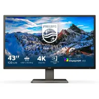Philips 439p1/00 42.5inch 3840x2160 va flat h/a adativesync usb-c dock (90w)