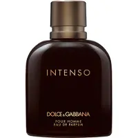 Dolce&Gabbana Dolce & Gabbana Pour Homme Intenso Edp 125ml