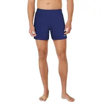 Nike 5´´ Volley Uimashortsit