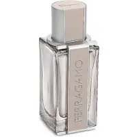 Salvatore Ferragamo Bright Leather Men, EdT 50ml