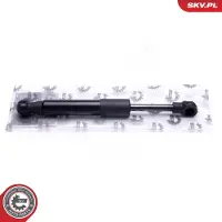 ESEN SKV Kaasujousi, tavaratila 52SKV746