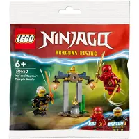 LEGO NINJAGO Kain ja Raptonin taistelu temppelillä, Rakennuspakkaus, 6 vuosi/vuosia, Muovi, 47 kpl, 32 g (30650)