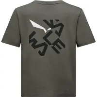 Salewa Graphic Lyhythihainen T-paita