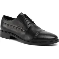 Geox Gladwin B Lenkkarit