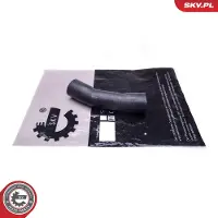 ESEN SKV Ahdinletku 43SKV315