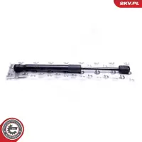 ESEN SKV Kaasujousi, tavaratila 52SKV665