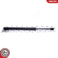 ESEN SKV Kaasujousi, tavaratila 52SKV751