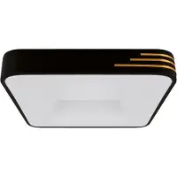 Strühm Librus Led kattovalaisin 24w 4200k 2970lm 160° musta/kulta