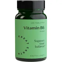 Great Earth Vitamin B6 120 tablettia