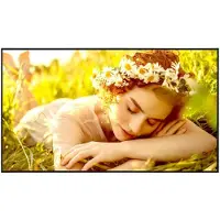 LG 43UL5Q-E Signage Display 43inch ADS UHD 500cd/m2 1,200:1 24/7 WebOS 6.1 WiFi (43UL5Q-E)