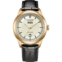 Citizen Eco-Drive Nahka AW0153-04A rannekello