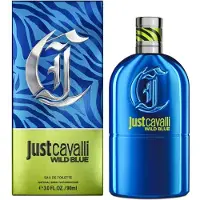 Roberto Cavalli Just Cavalli Wild Blue Eau de Toilette -tuoksu miehille 90 ml
