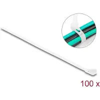 DeLOCK 18642, Koukullinen ja lenkillinen nippuside, Nailon, Valkoinen, 200 mm, 4,8 mm, 100 kpl