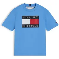 Tommy Hilfiger Heritage Printed Flag Lyhythihainen T-paita